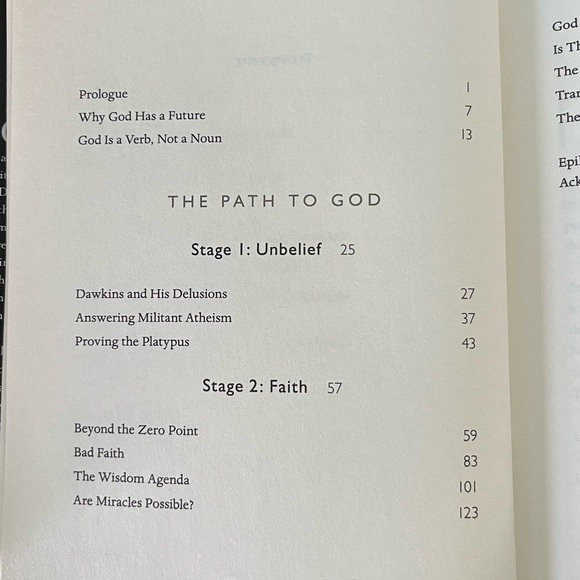 Book Hardcover Spiritual The Future of God : A Practical Approach to Spirit - Picture 6 of 12